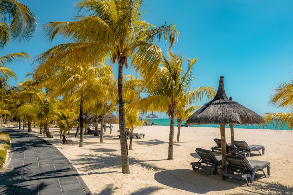 Illustration related to Mauritius as a Wheelchair User — Travel & Accessibility resource guide