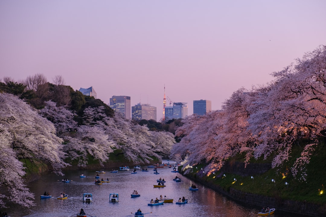 Tokyo, Japan — photo 2
